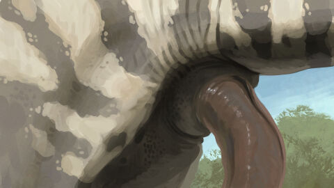 animal_genitalia cloaca dinosaur feral genitals hi_res male painting penis prehistoric_species reptile scalie technesaurus