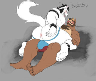 2025 anklet anthro anthro_on_anthro anus artemis_(croissantdelar1) ass bat beard biceps big_ass big_butt big_pecs black_hair blonde_hair bodily_fluids bracelet canid canine canis clothed clothing collar dialogue domestic_dog drooling duo english_text eye_contact facial_hair fur hair husky jewelry jockstrap langdon_marston legband looking_at_another looking_pleasured male male/male mammal mistermrdad muscular muscular_anthro muscular_male nipples nordic_sled_dog open_mouth paws pecs saliva simple_background smile spiked_anklet spiked_bracelet spiked_collar spiked_legband spikes spitz tail teeth text thick_thighs underwear white_body