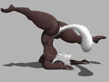 1girls acrobatic ass average_breasts big_ass breasts cat_ears cat_eyes cat_tail claws dark-skinned_female dark_skin elbow_stand female flexible glitch_productions legs_apart looking_at_viewer neko nipples nude nude_female oerba_yun_fang scratches solo solo_female splits squished_ass stretching sunset_paradise thick_thighs whisk_(sunset_paradise) white_hair white_tail yellow_eyes