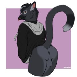 anthro anus ass avian backsack balls ballsack beak bird black_anus black_hair blep bottomless bottomless_male clothed clothing corvid corvus_(genus) crow eye_markings fur genitals grey_body grey_fur gryphon hair hoodie hoodie_only humanoid looking_at_viewer looking_back male male_focus male_only markings multicolored_body mythological_avian mythological_creature mythology orange_eyes oreobird oreos_(oreobird) oscine passerine presenting presenting_anus presenting_ass presenting_balls presenting_hindquarters raised_tail rear_view solo solo_male tail tongue tongue_out topwear topwear_only two-tone_body