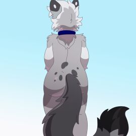 2025 2d_animation animated anthro anus ass ass_up backsack balls ballsack blue_eyes blush collar digital_media_(artwork) dipstick_ears dipstick_tail domestic_cat ear_markings egyptian_mau erection eyewear felid feline felis femboy frame_by_frame fur furry genitals glasses grey_body hair jonky leaning leaning_forward looking_at_viewer looking_away looking_back looking_back_at_viewer male male_only mammal markings multicolored_ears nixuelle nude penile_spines penis pink_nose presenting presenting_anus presenting_balls presenting_hindquarters presenting_penis raised_tail rear_focus rear_view short_playtime shy simple_background smile solo spots spotted_markings tail tail_markings thick_thighs tuft