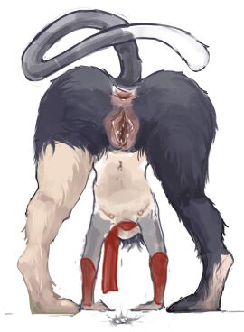 1girls anthro anus artist_request ass ass_focus bodily_fluids breasts butt_focus cat_tail delicious_in_dungeon doggy_style dungeon_meshi felid feline female female_only flat_chest focus_on_ass from_behind_position gaping gaping_anus genital_fluids genitals hi_res in_heat izutsumi low-angle_view mammal needy pussy pussy_juice pussy_juice_puddle sex small_breasts solo solo_focus udjina vaginal_fluids
