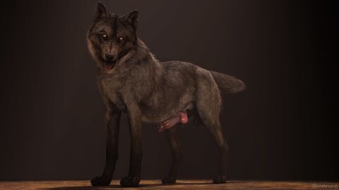 3d_(artwork) 4_toes absurd_res amber_eyes anatomically_correct animal_genitalia balls black_nose blodrain canid canine canine_genitalia canis claws digital_media_(artwork) feet feral fur genitals grey_body grey_fur hi_res knot knotted_penis looking_at_viewer male mammal open_mouth penis realistic_feral scar simple_background solo source_filmmaker_(artwork) tail toe_claws toes tongue tongue_out wolf