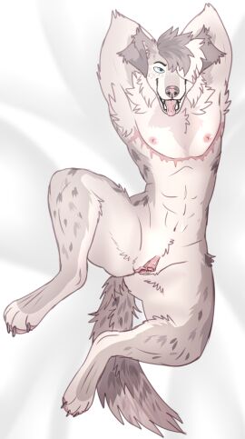 1cuntboy abs anthro armpit_hair arms_above_head australian_shepherd big_clitoris blue_eyes bodily_fluids body_hair breath brown_body brown_fur canid canine canis cheek_tuft clitoris cuntboy domestic_dog facial_tuft floppy_ears freckles fur genital_fluids genitals hair hair_over_eye hands_behind_head herding_dog hi_res intersex legs_up lying mammal markings mastectomy_scar navel neck_tuft nipples on_back one_eye_obstructed panting pastoral_dog paws pink_nipples pink_nose pink_pussy pink_tongue pussy resting scar sheepdog shirojackote solo solo_focus spots spotted_body spotted_fur tan_body tan_fur tongue tuft vaginal_fluids whiskers