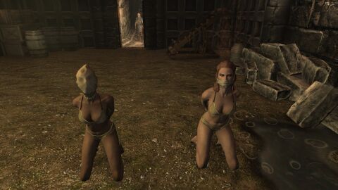 2girls 3d arms_behind_back cloth_gag female gag gagged game_screenshot kneeling skyrim the_elder_scrolls theskyrimswashbuckle underwear