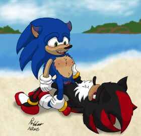 alien_genitalia anthro beach clothing cowgirl_position cuntboy cuntboy/male duo eulipotyphlan exposed_torso fangs footwear from_front_position genitals gloves handwear hedgehog hi_res intersex intersex/male male male_penetrating mammal on_bottom on_top penetration pussy rubberh0es rule_63 sega sex shadow_the_hedgehog shoes sonic_(series) sonic_the_hedgehog sonic_the_hedgehog_(series) teeth