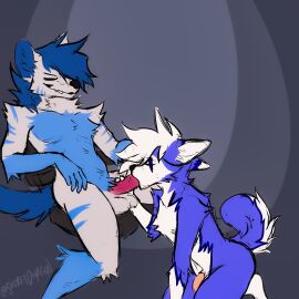 anthro balls blue_body blue_fur blue_hair bluejayyeen bluhuskyeli canid canine canis domestic_dog duo fellatio fur genitals hair hi_res husky hyena kneeling male male/male mammal nordic_sled_dog oral penile penis secretdwagon sex sitting spitz tail white_body white_fur white_hair