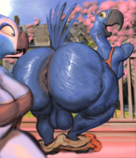 1boy 1girls anthro anus ass avian balls big_ass big_butt bird blu_(rio) blue_sky blue_sky_studios clothed clothing duo female genitals hi_res hohohonse jewel_(rio) male mostly_nude nipples presenting presenting_anus presenting_hindquarters rio_(series) skimpy sky thick_thighs wide_hips