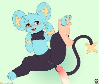 absurd_res anthro blush fangs female generation_4_pokemon genitals hi_res leg_grab lying male nintendo paws penis pokemon pokemon_(species) pussy raised_leg senz shinx solo tail teeth