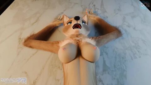 (artwork) 1 16:9_aspect_ratio 3d 4k alexa animal animated animation anthro blender_(software) breasts canine canis digital extremely_large_filesize feet female focus furries furriesvr furry general genitals h264_(codec) has_audio high_resolution large_filesize legs limited_visibility mammal maxnoward media missionary missionary_position mp4 nipples pawpads paws perky petite pov pov_only presenting raised res slim soles tagme toes vagina video vr wolf