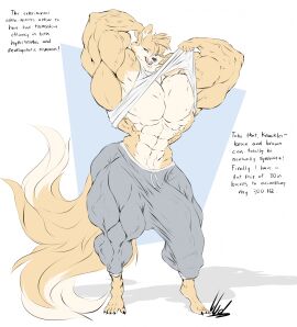 2_tails abs aged_up anthro bottomwear canid canine cheek_tuft clothed clothing clothing_lift dialogue dullvivid english_text erection erection_under_clothing facial_tuft fox fur genital_outline half-closed_eyes hi_res male male_focus male_only mammal miles_prower multi_tail multicolored_body multicolored_fur muscle_tone muscles muscular muscular_anthro muscular_male narrowed_eyes open_mouth open_smile pants pecs sega shirt shirt_lift simple_background smile solo sonic_(series) sonic_the_hedgehog_(series) sweatpants tail tails tails_the_fox tan_body tan_fur tank_top text topwear tuft two-tone_body two-tone_fur white_background yellow_body yellow_fur