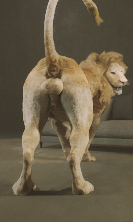 anatomically_correct anatomically_correct_anus anatomically_correct_genitalia animal_genitalia anus ass balls cosmiclife felid feline feral fully_sheathed fur genitals hi_res inside lion looking_at_viewer looking_back looking_back_at_viewer male male_solo mammal pantherine presenting presenting_anus presenting_balls presenting_hindquarters realistic sheath simple_background smile smiling_at_viewer solo_male tan_body tan_fur zoophilia