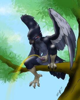 anthro avian balls bird black_body black_feathers bodily_fluids branch claws corvid corvus_(genus) erection feathers genital_fluids genitals grey_body grey_feathers gripping_penis hand_on_penis hi_res male masturbation nude oscine outside passerine peeing penis plant purple_eyes raven sitting_on_tree_branch solo spread_wings toe_claws tree urine urine_stream watching_from_afar watersports white_body white_feathers wings zephyrpanthur