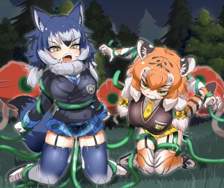 2girls animal_ears animal_print arms_up black_hair black_jacket black_ribbon black_vest blazer blue_hair blue_necktie blue_skirt blue_theme blush bow breasts buttons cellien_(kemono_friends) clenched_teeth collared_shirt commentary_request cum cum_on_legs dire_wolf_(kemono_friends) double-breasted female forest full_body fur-trimmed_footwear fur_collar fur_trim garter_straps gloves grass grey_hair grey_sky grey_thighhighs hair_between_eyes hair_ribbon hairbow highres jacket kemono_friends kemono_friends_3 kneeling large_breasts lets0020 long_hair looking_at_viewer medium_bangs miniskirt multicolored_hair multiple_females multiple_girls nature necktie night open_mouth orange_hair orange_thighhighs outdoors plaid plaid_bow plaid_necktie plaid_skirt pleated_skirt print_gloves print_thighhighs restrained ribbon shirt shoes siberian_tiger_(kemono_friends) skirt sky stiff_tail tail teeth tentacle tentacle_sex thighhighs tiger_ears tiger_girl tiger_print tiger_tail tree variant_set vest white_footwear white_hair white_shirt wolf_ears wolf_girl wolf_tail yellow_bow yellow_eyes yellow_necktie