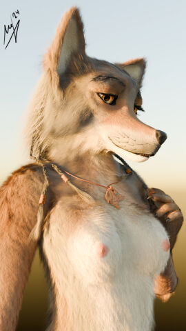 anthro canid canine canis domestic_dog female fox fur hair hi_res humanoid mammal naala natural pose reaching_art solo tribal wolf