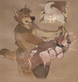 2024 anthro anthro_on_anthro anthro_penetrated anthro_penetrating anthro_penetrating_anthro ass astrayd0g belly bite_mark bite_mark_on_butt black_clothing black_legwear black_thigh_highs bodily_fluids breasts brown_background brown_body brown_fur brown_nose brown_theme canid canine canis clothed clothing collie coyote cross-eyed cum cum_drip cum_in_pussy cum_inside cutaway dawg_(astrayd0g) digital_media_(artwork) dingo domestic_dog dominant dominant_anthro dominant_male dripping drooling duo ear_grab female female_penetrated from_behind_position fur genital_fluids german_shepherd harness herding_dog hi_res hybrid leaning leaning_forward legwear male male/female male_penetrating male_penetrating_female mammal markings medium_breasts mixed_breed moan musk nipples nude nude_anthro nude_male open_mouth open_smile orange_body orange_fur partially_clothed partially_clothed_anthro partially_clothed_female pastoral_dog penetration penile penile_penetration penis penis_in_pussy pink_belly pink_harness pink_nipples plap plap_(sound) portrait puppy_(slutisity) pussy rear_view saliva sex sheepdog simple_background smile standing standing_sex tail tan_body tan_breasts tan_butt tan_fur tan_markings tan_tail thigh_highs three-quarter_portrait three-quarter_view vaginal_penetration