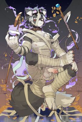 anthro balls biped black_body black_fur canid canine canis claws coin domestic_dog fingers floppy_ears foreskin fur genitals glans gold_(metal) gold_coin hair hi_res humanoid_genitalia humanoid_penis kemono male mammal milkytiger1145 mummy_wrappings penis solo tail uncircumcised