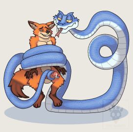 anthro black_eyes bodily_fluids canid canine coiling cyrus-inkubatto disney duo erection fox gary_de'snake genital_fluids genitals green_eyes hi_res humanoid_genitalia humanoid_penis looking_at_another looking_pleasured male male/male mammal masturbation nick_wilde nude penis precum reptile scalie simple_background snake white_background zootopia