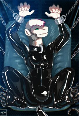absurd_res anthro arms_tied bed bedroom blakezarks bondage bound cel_shading chained chains clothing collar detailed_background full-length_portrait furniture haplorhine hi_res latex latex_clothing latex_skinsuit male mammal monkey portrait primate rubber_clothing shaded skinsuit slave solo suspension tight_clothing white_body