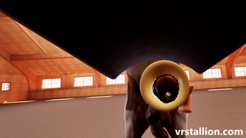 1animal 1boy 3d 3d_animation 3d_model animal_genitalia animal_penis animated aroused aroused_male artificial_vagina balls ballsack barn big_penis cock cock_pointing_towards_viewer cum cum_everywhere cum_on_viewer cumming cumming_on_viewer cumshot equine equine_balls equine_genitalia equine_penis erect_penis erection female_pov feral feral_only fleshlight focus_on_penis game game_cg gameplay horse horse_penis horsecock huge_cock huge_cumshot large_penis male original original_character penis penis_pointing_toward_viewer pov solo solo_male taker_pov thrusting toy video_game video_games vr vrstallion zoophilia