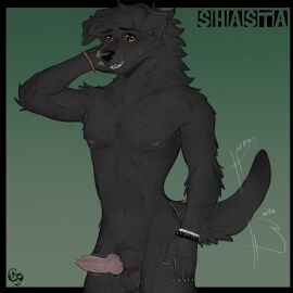 absurd_res animal_genitalia animal_penis anthro balls bird_dog black_body black_fur bodily_fluids bracelet bracelet_only canid canine canine_genitalia canine_penis canis cerberussenn claws domestic_dog floppy_ears freckles fur genitals green_background green_eyes hi_res hunting_dog jewelry knot labrador male male_only mammal nervous_smile nipples penis pubes retriever shasta_chirmann_(cerberussenn) sheath signature simple_background slim_male smile solo sweat sweatdrop tail tail_motion tails_(disambiguation) tailwag throbbing throbbing_penis