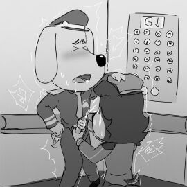 babybus canon_x_oc cum cum_on_face cumshot deputy_collie elevator furry gay gay_blowjob male oc_x_canon ocxcanon original_character pavisian sheriff_labrador sheriff_labrador_(character)