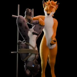 1:1 absurd_res anthro blue_eyes bondage canid canine dom/sub duo erection fox fox_the_hyena fur grey_body grey_fur hi_res hyena male male/male mammal orange_body orange_fur red_fox spotted_hyena true_fox white_body white_fur