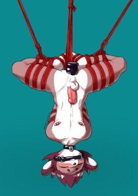 1boy 2023 anal_insertion anthro artist_name artist_signature bit_gag blue_background bondage brown_hair dildo_in_ass femboy furry goat goat_boy goat_horns hanging_upside_down liam_(shinlalala) male male_focus male_only naked naked_male nipple_piercing nipples nude nude_male original penis piercing rope_bondage shinlalala twink