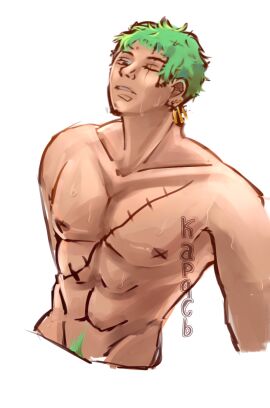 1boy bara green_hair male male_only one_piece roronoa_zoro solo sweat sweatdrop yaoi