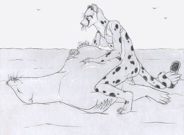 2024 after_vore ambient_bird anthro anthro_on_feral anthro_penetrated avian belly belly_rub big_belly biped bird bottomless bra bra_only breasts callie_(strega) cheetah clothed clothing coiled_tail cowgirl_position digestion_noises duo erection feet felid feline female female_penetrated feral feral_penetrating feral_penetrating_anthro feral_pred from_front_position fully_inside fur genitals hi_res interspecies lying male male/female male_penetrating male_penetrating_female male_pred mammal marine markings membrane_(anatomy) on_back on_bottom on_top penetration penile penile_penetration penis penis_in_pussy pinniped prehensile_tail pussy quadruped sand sea_lion sex sex_with_pred spots spotted_body spotted_fur stomach_bulge strega tail toes tongue tongue_out underwear underwear_only vaginal_penetration vore webbed_feet webbed_hands whiskers zoophilia