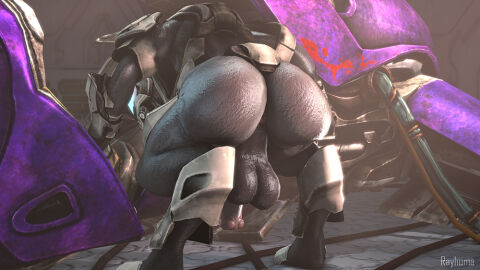 2021 3d 3d_(artwork) alien alternate_version_available anus armor ass ass_focus backsack balls ballsack bent_over big_ass big_balls big_butt bottomless clothed clothing digital_media_(artwork) digitigrade flaccid genitals grey_body halo_(series) headgear helmet humanoid machine male male_focus mechanic microsoft oblivious penis perineum rayhuma repair repairing sangheili scalie science_fiction solo solo_male source_filmmaker unconvincing_armor vehicle xbox_game_studios
