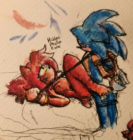 amy_rose bondage collar female femdom furry hands_behind_back happy hiddenphallice_(artist) hiddenphalluszone laying_down laying_on_back laying_on_bed leash restrained rope sex smile sonic_(series) sonic_the_hedgehog sonic_the_hedgehog_(series) straight