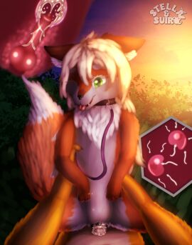 absurd_res animal_genitalia animal_pussy animal_vulva anthro anthro_on_feral bestiality_impregnation big_ears big_tail blonde_hair bodily_fluids brown_body brown_ears brown_fur buckled_collar canid canine canine_genitalia canine_pussy canine_vulva canis cervical_penetration chest_tuft claws cloud collar countershading cowgirl_position cum cum_from_vagina cum_in_uterus cum_in_vagina cum_inside cutaway detailed_background digit_ring digital_media_(artwork) digital_painting_(artwork) dipstick_tail domestic_dog feet female female_feral feral first_person_view fluffy fluffy_tail fox from_front_position fur furry genital_fluids genitals glistening glistening_genitalia glistening_penis gloves_(marking) green_eyes hair hi_res holding_leash holding_object holding_partner impregnation inner_ear_fluff internal internal_vaginal interspecies interspecies_impregnation isan_(isuckatnames60) jewelry knotting leash long_hair looking_at_viewer male male/female mammal markings multicolored_body multicolored_fur multiple_impregnation multiple_ova on_bottom on_top one_eye_closed open_mouth orange_body orange_fur outside ovum painting_(artwork) pawpads paws penetration penis pink_claws plant purple_collar pussy ring sex sheath shiba_inu sperm_cell spitz stella_(stellaamoris) stellaamoris sunset tail tail_markings tongue tongue_out tuft two_tone_body two_tone_fur two_tone_tail uterus vaginal_knotting vaginal_penetration wedding_ring white_body white_countershading white_fur white_inner_ear yellow_body yellow_fur zoophilia