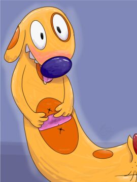 2024 anus blush canid canine caninius_dog canis catdog_(series) conjoined cuntboy digital_media_(artwork) domestic_cat domestic_dog duo felid feline felinius_cat felis feral_only fur genitals hi_res intersex kitkiy mammal multi_anus nickelodeon orange_body orange_fur pussy solo_focus spread_pussy spreading tongue tongue_out