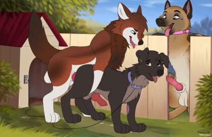 2d_animation anal anal_sex animal_genitalia animal_penis animated anus ass ass_grab balls balls_deep balls_touching bird_dog bodily_fluids breath butt_grab canid canine canine_genitalia canine_penis canine_teeth canis collar cum cum_drip cum_in_mouth cum_inside cum_on_face cum_on_penis doggy_style domestic_dog dripping ejaculation fellatio feral feral_on_feral feral_penetrating from_behind_position genital_fluids genitals german_shepherd group hand_on_ass hand_on_butt herding_dog hunting_dog knot knotted_penis labrador leash leashed_collar licking male male/male mammal mohitopaw nude oral pastoral_dog penetration penile penis retriever sex short_playtime sucking tongue tongue_out tongue_out_fellatio trio wolf