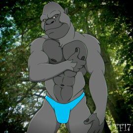 2017 abs anthro ape black_body black_fingernails black_fur black_nails black_nipples blue_clothing blue_thong blue_underwear brown_eyes bulge closed_smile clothed clothing colored_nails digital_media_(artwork) fabfelipe fingernails front_view fur gorilla grey_body grey_fur hand_on_chest hand_on_leg hand_on_own_chest hand_on_own_leg hand_on_own_thigh hand_on_thigh haplorhine hi_res male mammal mouth_closed muscular muscular_anthro muscular_male nails navel nipples portrait primate smile solo thong thong_only three-quarter_portrait topless topless_anthro topless_male underwear underwear_only