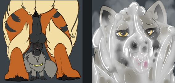 2018 ambiguous_gender anus arcanine balls black_penis bodily_fluids brown_body brown_fur canid canine chillyphillix collar cum cum_on_face deepthroat duo erection faceless_character faceless_male fellatio feral feral_on_feral feral_penetrated feral_penetrating feral_penetrating_feral fur generation_1_pokemon generation_3_pokemon genital_fluids genitals grey_body grey_fur knot male mammal messy nintendo oral oral_penetration penetration penile penis pokemon pokemon_(species) poochyena saliva saliva_on_penis servicing_from_below sex simple_background size_difference size_play sucking tail tongue tongue_out yellow_eyes