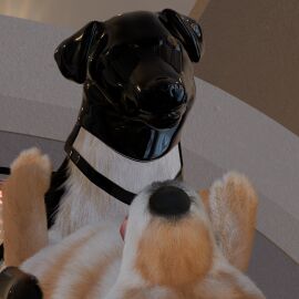 3d_(artwork) angry angry_sex anonyartist3d asphyxiation barkley_(canine_conundrum) black_body black_fur blind border_collie breath canid canine canis closed_eyes clothing collie deaf digital_media_(artwork) disability domestic_dog duo faceless_character faceless_male female feral feral_on_feral feral_penetrated feral_penetrating feral_penetrating_feral floor floppy_ears fluffy footwear fur futuristic_clothing futuristic_setting genitals glistening glistening_latex growling harness herding_dog hi_res knot knotted_penis latex latex_clothing latex_footwear latex_harness latex_hood latex_socks lying lying_on_ground male male/female mammal multicolored_body multicolored_fur on_back on_ground panting pastoral_dog penetration penis pointy_ears questionable_consent realistic_feral science_fiction sensory_deprivation sex sheepdog shiba_inu socks spitz stretched_pussy tile tile_floor tongue tongue_out unable_to_speak unnamed_character vaginal_penetration white_body white_fur yellow_body yellow_fur