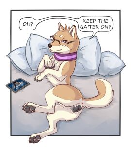 animal_genitalia animal_pussy apple_inc. canid canine canine_genitalia canine_pussy canis caramel_(insomniacovrlrd) collar dialogue domestic_dog e621 english_text eyewear female feral gaiters genitals glasses ipad looking_at_viewer lounging mammal niffad pawpads pillow pussy raised_leg shiba_inu solo speech_bubble spitz text