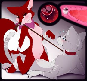 animal_genitalia anthro blue_eyes blush bodily_fluids breasts canid canine collar cowgirl_position cum cum_in_pussy cum_in_uterus cum_inside domestic_cat dungeons_and_dragons duo felid feline feline_genitalia felis female fennec_fox flare_(zekeofgods) fox from_front_position fur genital_fluids genitals grey_body grey_fur hasbro hi_res impregnation internal leash leash_in_mouth leash_pull leashed_collar lying male male/female mammal meraence object_in_mouth on_back on_bottom on_top ovum pussy red_body red_eyes red_fur scarf sex shirohoshi_(zekeofgods) tabaxi true_fox uterus white_body white_fur wizards_of_the_coast wrapped_arms wraps