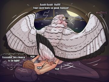 2025 animal_genitalia anjydrawslewd ass avian avian_feet bedroom bedroom_sex bird blush blushing_profusely bodily_fluids brown_hair cloacal cloacal_penetration dialogue duo duo_focus feathered_wings feathers feet feral fingers genital_fluids genitals group hair happy happy_sex hi_res horned_owl human human_on_feral human_penetrating interspecies larger_male looking_pleasured male male/male male_penetrated male_penetrating male_penetrating_male mammal nude nude_male open_mouth orgasm owl penetration penile penile_penetration penis penis_in_cloaca pupil sex size_difference small_dom_big_sub snowy_owl spread_wings spreading sweat sweatdrop tail tail_feathers tongue tongue_out true_owl white_body white_feathers wings zoophilia