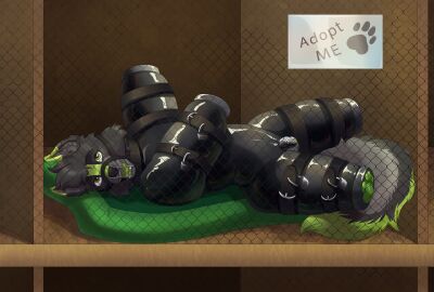 anthro balls bitchsuit black_body black_fur black_nose bondage bondage_gear bound canid canine canis chain-link_fence chastity_cage chastity_device clothing collar crazydonkey cushion dipstick_ears dipstick_tail dog_bed ear_markings english_text fangs fence fluffy fluffy_tail footprint fur gay genitals green_ear_tips green_eyes green_tail_tip green_tongue helpless hi_res kennel latex latex_clothing lock looking_at_viewer lying male malesub mammal markings metal_chastity_cage multicolored_ears muzzle_(object) muzzled on_back on_display open_mouth padlock pawprint pawprint_print pet_bed pet_store petplay piddlefours pleading_eyes pollux_(polluxthewolf) public public_display puppyplay restrained_arms restrained_legs roleplay side_view sign slim_male solo store straps submissive_male tail tail_markings teeth text tongue wire_basket_muzzle wolf yaoi