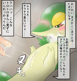 Image: 3165092