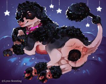 anus bed belly_nipples black_vulva candy canid canine canine_pussy canine_vulva canis collar colored_nails dessert domestic_dog facial_piercing female feral food fur furniture hi_res leaking leaking_pussy leaking_pussy_juice lollipop lollipop_in_mouth lounging lying lying_on_bed lynx_scenting mammal multi_nipple multicolored_body multicolored_fur nails nipples nose_piercing nose_ring on_bed on_front pawpads paws piercing pink_anus pinup poodle pose pussy ring_piercing septum_piercing septum_ring solo spiked_collar spikes sprinkles sprinkles_in_fur sprinkles_in_hair sprinkles_on_tail star