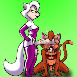 1boy 1futa 2024 5_fingers alternate_costume anthro anthro_on_anthro areola areola_slip arm_support armwear aroused balls bare_shoulders bedroom_eyes bent_arm bent_legs big_eyes big_penis biped black_eyebrows bodily_fluids bra breasts brown_areola brown_eyes brown_glans can't_see_the_haters cant_see_the_haters cat_keyhole_bra cat_lingerie cat_print cats_don't_dance cheek_tuft cleavage_cutout closed_smile clothed clothing collarbone color_edit colored corset countershade_face countershade_fur countershade_torso countershading crossdressing cutout danny danny_(cats_don't_dance) dark_clothing dark_nose dark_panties dark_tongue dark_underwear digital_drawing_(artwork) digital_media_(artwork) dipstick_tail domestic_cat dominant dominant_anthro dominant_futa dominant_intersex dominatrix dripping duo elbow_gloves erection extended_arms eyebrows facial_tuft felid feline felis femboy fingers fti_crossgender fur fur_tuft futa/male futa_is_bigger futa_on_male futadom futanari garter_straps genderswap genderswap_(fti) genital_fluids genitals glans glistening glistening_armwear glistening_clothing glistening_corset glistening_elbow_gloves glistening_genitalia glistening_glans glistening_gloves glistening_handwear glistening_legwear glistening_lingerie glistening_penis glistening_thigh_highs glistening_topwear gloves green_background hand_on_hip hand_on_own_hip handwear head_tuft huge_cock humanoid_genitalia humanoid_hands humanoid_penis intersex intersex/male intraspecies iris keyhole_bra keyhole_clothing keyhole_underwear kneeling leaking_precum leaning leaning_forward legwear light_areola light_armwear light_balls light_body light_clothing light_corset light_elbow_gloves light_fur light_glans light_gloves light_handwear light_inner_ear light_legwear light_lingerie light_penis light_tail light_thigh_highs lingerie lips lipstick looking_at_another looking_at_partner looking_down looking_down_at_another looking_down_at_partner makeup male malesub mammal markings medium_breasts meme monotone_background monotone_tail mostly_nude mouth_closed multicolored_body multicolored_fur musk musk_clouds musk_fetish musky_balls musky_cock narrowed_eyes no_pupils open_mouth orange_balls orange_body orange_fur orange_penis orange_tail panties penile penis penis_covering_eyes penis_over_eyes penis_size_difference penis_worship pink_glans pink_inner_ear pink_tongue plantigrade poking_out precum precum_drip precum_on_ground precum_on_tongue prick_ears pseudo_hair purple_armwear purple_clothing purple_corset purple_elbow_gloves purple_gloves purple_handwear purple_legwear purple_lingerie purple_thigh_highs purple_topwear red_bra red_clothing red_lipstick red_panties red_underwear redout rule_63 sawyer sawyer_(cats_don't_dance) seductive shadow simple_background small_but_hung smile snout standing submissive submissive_anthro submissive_male sweat sweaty_balls sweaty_genitalia sweaty_penis tail tail_markings tan_body tan_countershading tan_fur these_aren't_my_glasses thick_bottom_lip thick_thighs thigh_highs third-party_edit tongue tongue_out topwear tuft two-tone_body two-tone_fur underwear vein veiny_penis warner_brothers white_balls white_body white_fur white_penis white_tail