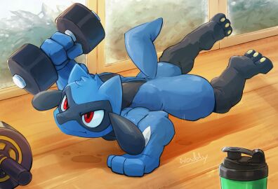 male pokemon riolu waddledox weights