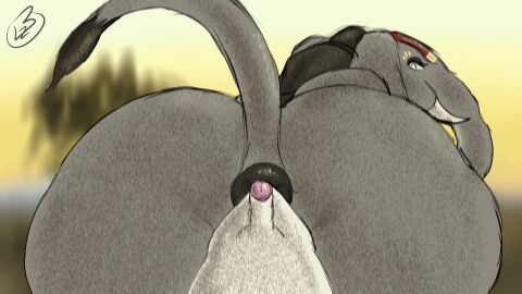 16:9 1boy 1futa anal anal_sex anal_vore animated anthro anus ass big_ass big_butt black_hair blind completely_nude disability duo elephant elephantid erection extreme_size_difference first_person_view futa_focus futa_on_male futanari genitals hair herm hi_res implied_futa intersex intersex/male lagende lazy_sunshine living_dildo living_insertion living_sex_toy looking_at_viewer looking_back male male_pov mammal nude nude_male overweight overweight_intersex partially_inside penetration penis pov proboscidean proboscis_(anatomy) puffy_anus short_playtime size_difference solo_focus submissive submissive_pov tail trunk_(anatomy) tusks vore widescreen