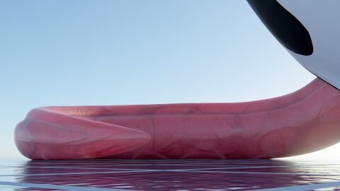 16:9 2025 3d_(artwork) absurd_res animal_genitalia animal_penis big_penis black_body blender_(artwork) cetacean cetacean_genitalia cetacean_penis digital_media_(artwork) dolphin feral genital_slit genitals glistening glistening_genitalia glistening_penis hi_res long_penis low-angle_view male mammal marine multicolored_body nude oceanic_dolphin orca penis pink_penis presenting presenting_penis qubane simple_background solo tail tapering_penis toothed_whale two_tone_body vein veiny_penis white_body widescreen