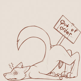 3_toes animal_genitalia anthro canid dizzy_eyes erection head_down_ass_up male male_focus male_only male_penetrated mammal out_of_order picket_sign solo solo_male spiral_eyes syynx