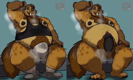 absurd_res anthro black_nipples black_penis bodily_fluids breasts clothing danyredlion facial_hair foreskin genitals gnoll hairy hi_res hyena jockstrap male mammal musk nipples overweight overweight_anthro penis scaramouche_rotbelly sweat uncircumcised underwear